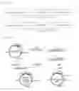 Fig. 02 - Heterologous polypeptide expression cassette