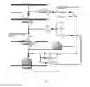 Fig. 02 - Process for recombinant protein expression augmentation in expression system