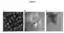 Fig. 05 - MAIZE PLASTID TRANSFORMATION METHOD