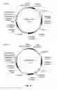 Fig. 05 - STRAINS OF AGROBACTERIUM MODIFIED TO INCREASE PLANT TRANSFORMATION FREQUENCY