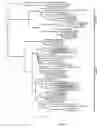 Fig. 02 - ENHANCING BIOCHEMICAL OUTPUT TRAITS IN CROPS