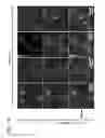 Fig. 22 - Exosomal loading using hydrophobically modified oligonucleotides