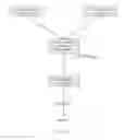Fig. 03 - Method for improved isolation of recombinantly produced proteins