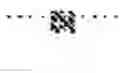 Fig. 05 - Means and methods for hyper-production of authentic human basic fibroblast growth factor in 