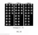 Fig. 15 - Method for measuring protein kinase activity and kit for same