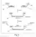Fig. 07 - Particle-assisted nucleic acid sequencing