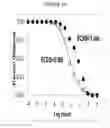 Fig. 02 - NUCLEIC ACID AMPLIFICATION AND USE THEREOF