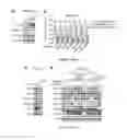 Fig. 14 - Treating chronic myelogenous leukemia (CML)