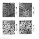 Fig. 04 - Dual-terminated polyamide for high speed spinning application