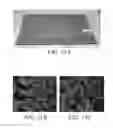 Fig. 14 - Dual-terminated polyamide for high speed spinning application
