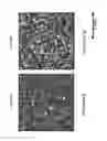 Fig. 210 - Method for reducing swell potential of expansive clay mineral and expansive clayey soil with molecular level simulation