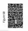 Fig. 69 - Method for reducing swell potential of expansive clay mineral and expansive clayey soil with molecular level simulation