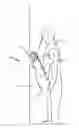 Fig. 01 - Urinal mirror device with bilateral convex mirror
