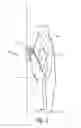 Fig. 02 - Urinal mirror device with bilateral convex mirror