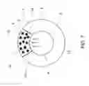 Fig. 07 - Waste water diffuser