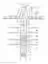Fig. 01 - Real time conformance