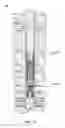 Fig. 10 - Actuatable Plungers with Actuatable External Seals, and Systems and Methods Including the Same