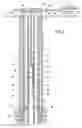 Fig. 02 - PRECONDITIONING FLOW TO AN ELECTRICAL SUBMERSIBLE PUMP