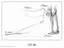 Fig. 12 - Gas lift analysis and troubleshooting