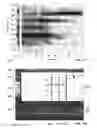 Fig. 09 - Distributed sensing systems and methods with I/Q data balancing based on ellipse fitting