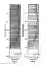 Fig. 09 - Identifying formation layer boundaries on well log measurements