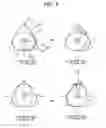 Fig. 10 - Rotary engine having combustion controllers