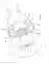 Fig. 07 - Turbine assembly
