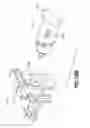 Fig. 28 - Rotational metering pump for insulin patch
