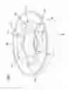 Fig. 09 - Scroll compressor having axial guide support