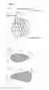 Fig. 12 - Crankshaft for reciprocating engine, and design method thereof