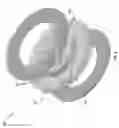 Fig. 05 - Brake Rotor With Working Surface Inserts