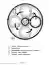Fig. 04 - Compound planetary friction drive