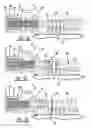 Fig. 06 - INTERLOCKING SYSTEM FOR TRANSMISSION STAMPED SHIFT SYSTEM