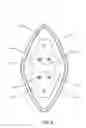 Fig. 05 - Light emitting diode (LED) module for LED luminaire