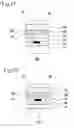 Fig. 15 - Input component, sensor sheet, and decorative component
