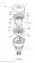 Fig. 23 - LED ILLUMINATION APPARATUS AND MANUFACTURING METHOD THEREOF