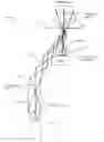 Fig. 01 - Electrical wiring device having a bidirectional light pipe for use in an ambient environment