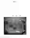 Fig. 09 - Light source device