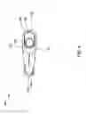 Fig. 05 - RAPID FIRE ATTACHMENT FOR SEMIAUTOMATIC FIREARMS