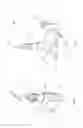 Fig. 04 - Containers for explosives and positioning apparatuses for the same
