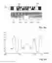 Fig. 05 - Absolute measuring length measuring system
