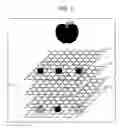 Fig. 04 - Imaging device and method