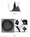 Fig. 08 - Novel Gold Nanostructures and Methods of Use
