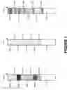 Fig. 02 - REAGENT TEST STRIPS COMPRISING REFERENCE REGIONS FOR MEASUREMENT WITH COLORIMETRIC TEST PLATFORM