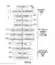 Fig. 04 - Operation of diagnostic devices involving microchannels and electrodes