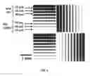 Fig. 07 - PRINTED DIGITAL MICROFLUIDIC DEVICES METHODS OF USE AND MANUFACTURE THEREOF