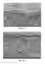 Fig. 13 - PRINTED DIGITAL MICROFLUIDIC DEVICES METHODS OF USE AND MANUFACTURE THEREOF