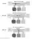 Fig. 15 - PRINTED DIGITAL MICROFLUIDIC DEVICES METHODS OF USE AND MANUFACTURE THEREOF