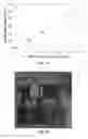 Fig. 17 - PRINTED DIGITAL MICROFLUIDIC DEVICES METHODS OF USE AND MANUFACTURE THEREOF