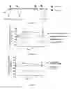 Fig. 02 - Methods for determining whether a patient will achieve a response after radiation therapy